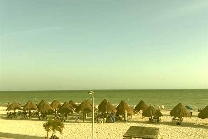 Escorts El Progreso, Mexico — Local Companions
