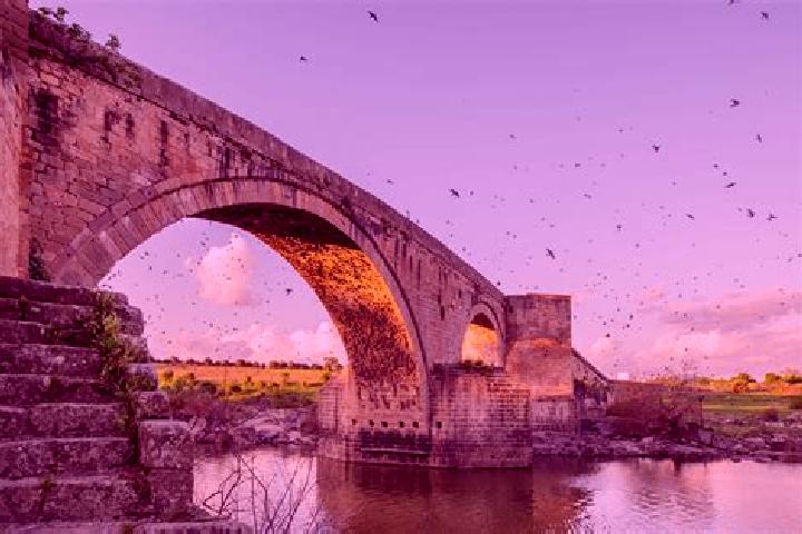 Escorts El Puente del Arzobispo, Spain — Local Companions