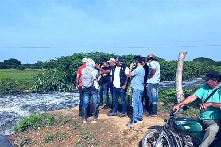 Escorts El Puente, Mexico — Local Companions