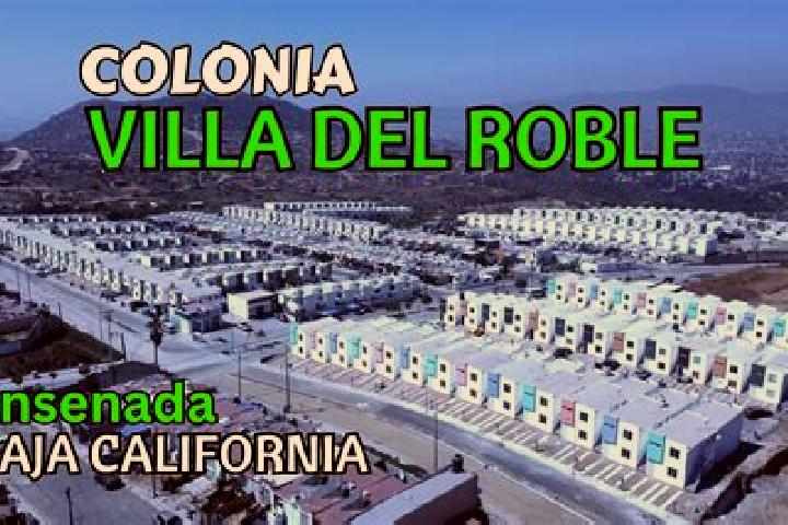 Escorts El Roble, Mexico — Local Companions
