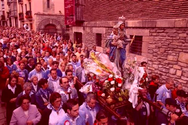 Escorts El Rosario de Arriba, Mexico — Local Companions