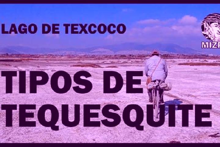 Escorts El Tequesquite, Mexico — Local Companions