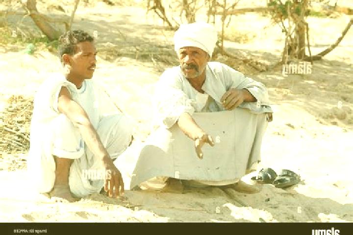 Escorts El-Tor, Egypt — Local Companions