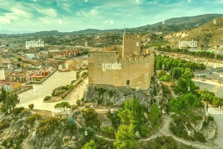 Escorts Elda, Spain — Local Companions