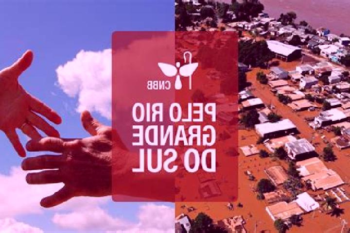 Escorts Eldorado do Sul, Brazil — Local Companions