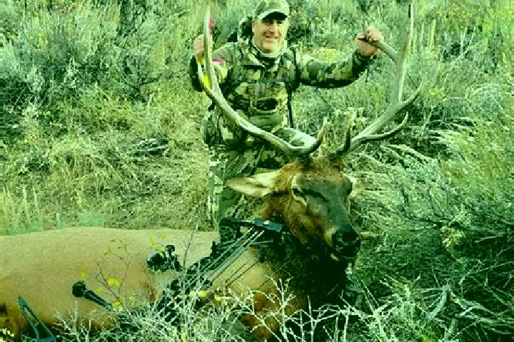 Escorts Elk Horn, United States — Local Companions
