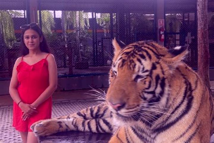 Escorts Ellenabad, India — Local Companions