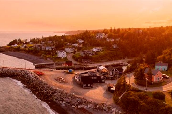 Escorts Ellenvale, Canada — Local Companions