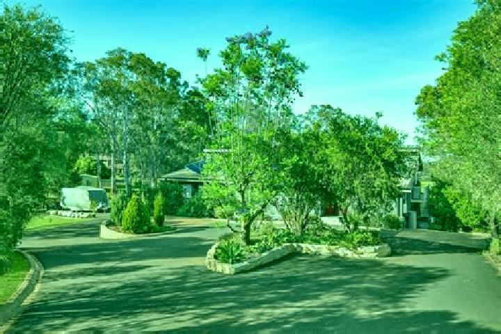 Escorts Ellis Lane, Australia — Local Companions