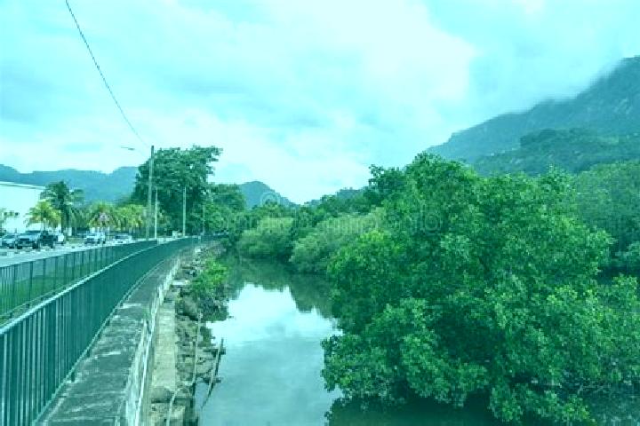 Escorts English River, Seychelles — Local Companions