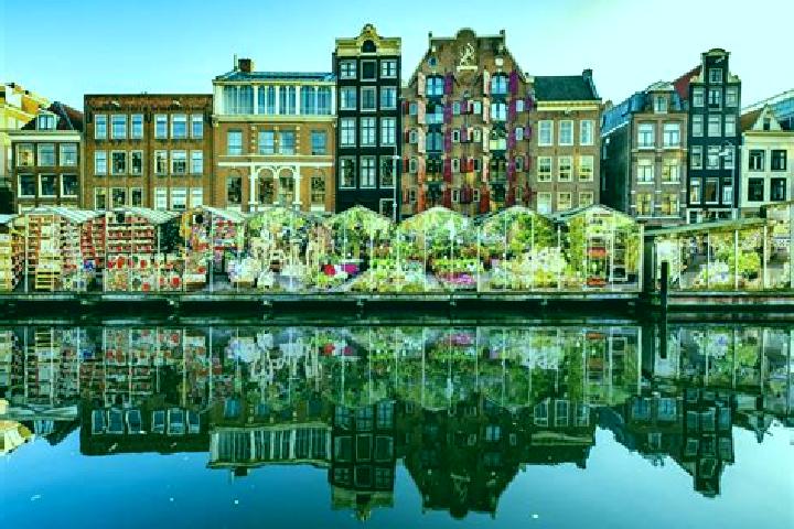 Escorts Enschot, Netherlands — Local Companions