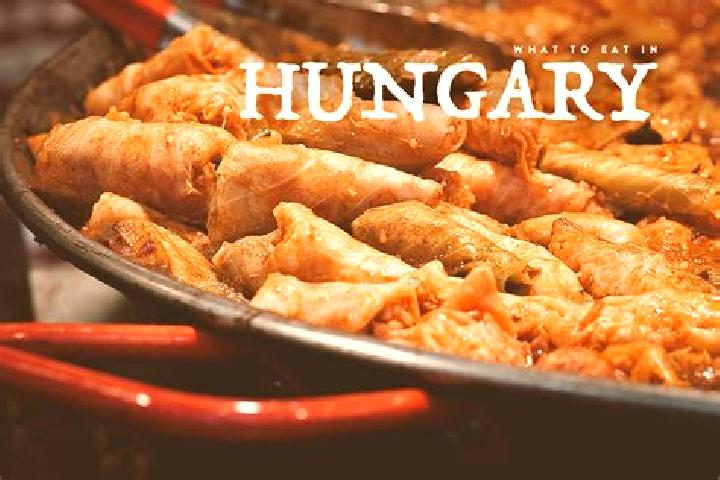 Escorts Enying, Hungary — Local Companions