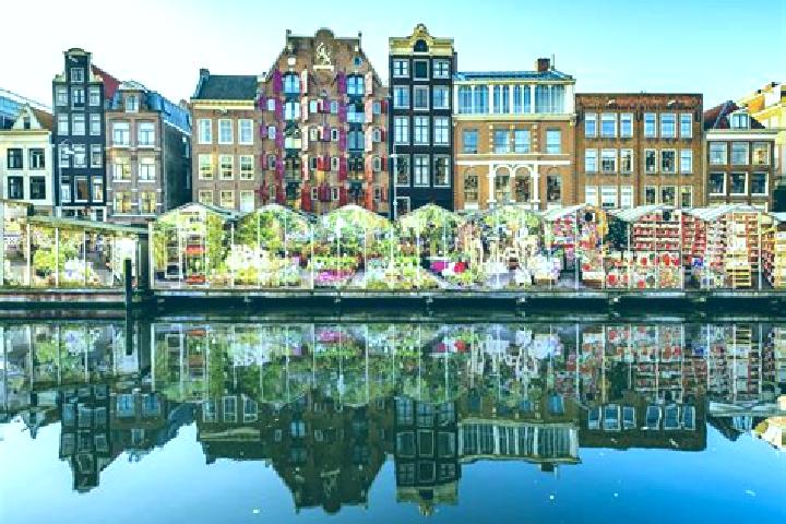 Escorts Esch, Netherlands — Local Companions