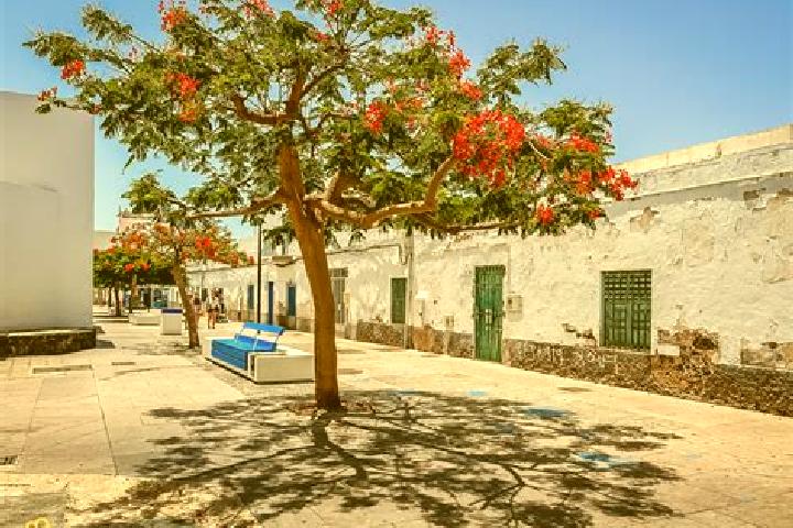 Escorts Estacion Corralejo, Mexico — Local Companions