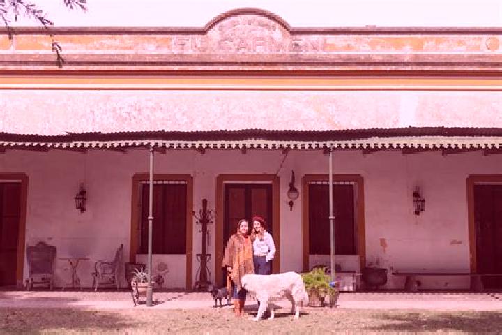 Escorts Estancia del Carmen de Maravatio, Mexico — Local Companions