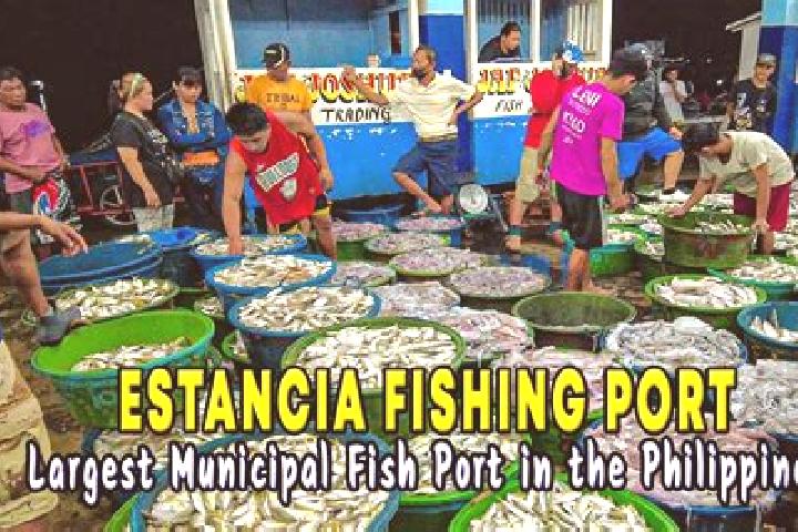 Escorts Estancia, Philippines — Local Companions