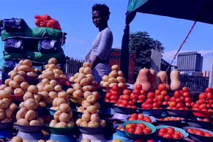Escorts Estcourt, South Africa — Local Companions