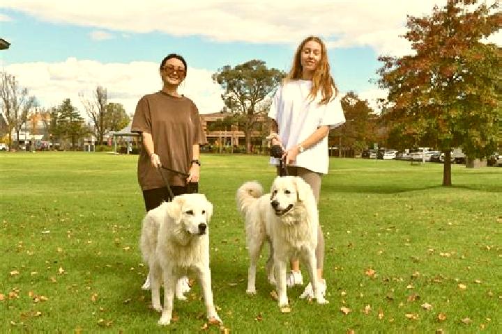 Escorts Evanston Park, Australia — Local Companions