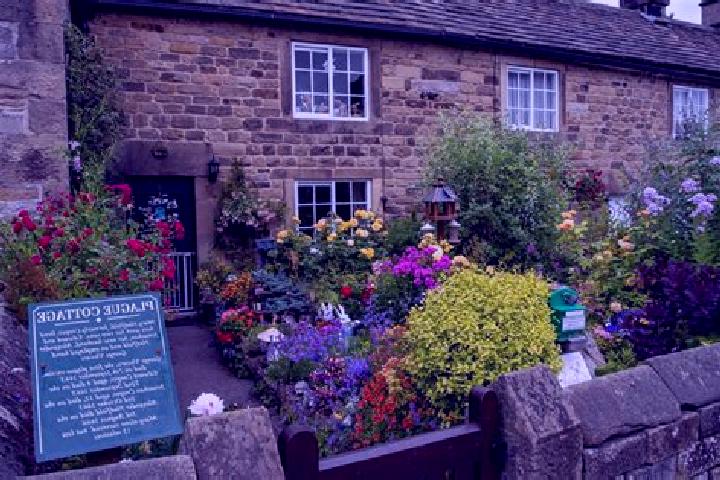 Escorts Eyam, United Kingdom — Local Companions