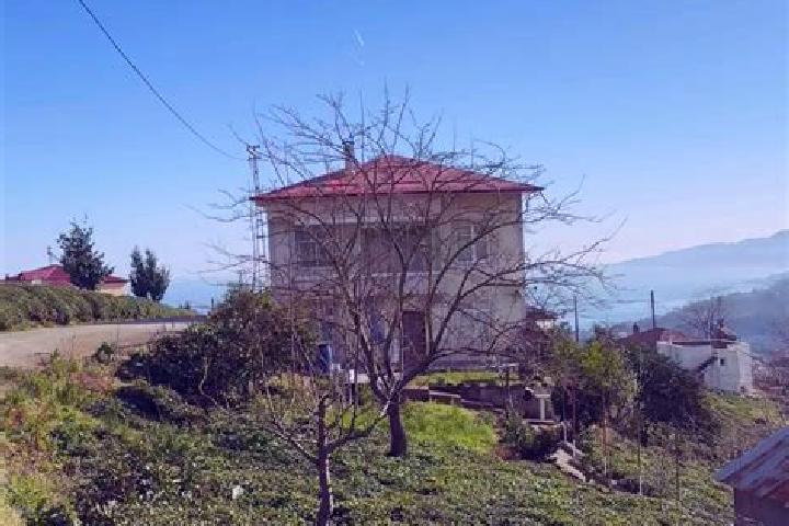 Escorts Eynesil, Turkey — Local Companions