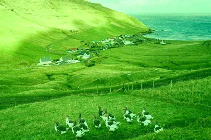 Escorts Eystur, Faroe Islands — Local Companions
