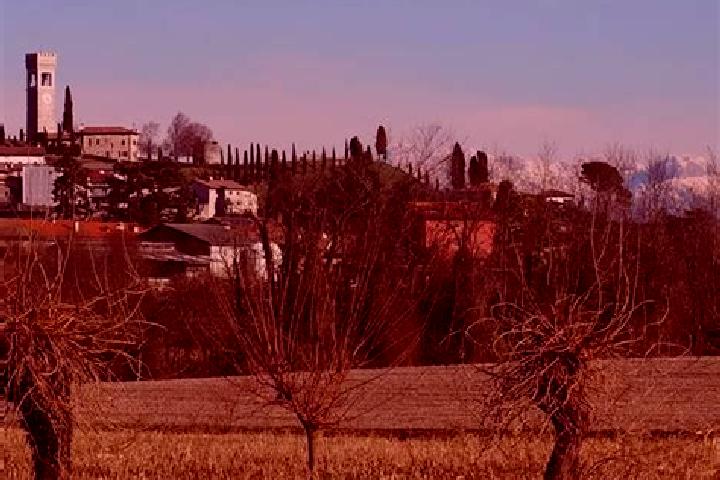 Escorts Fagagna, Italy — Local Companions