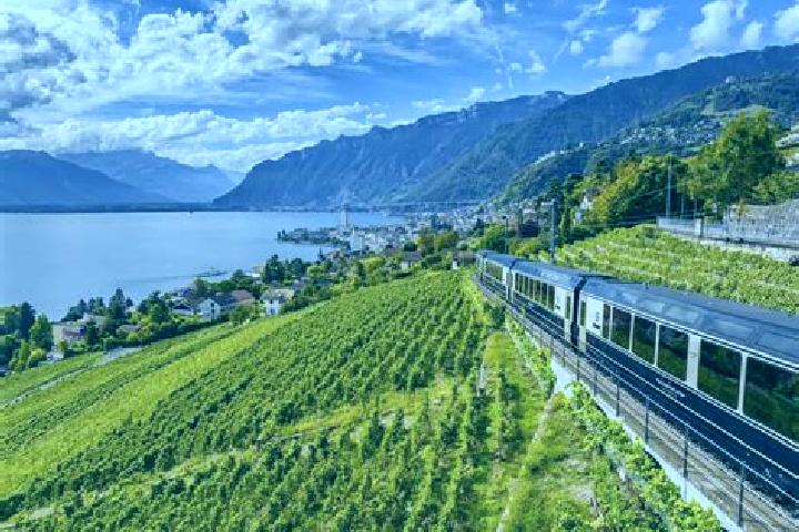 Escorts Fahrweid (noerdl. Teil) / Fahrweid, Switzerland — Local Companions