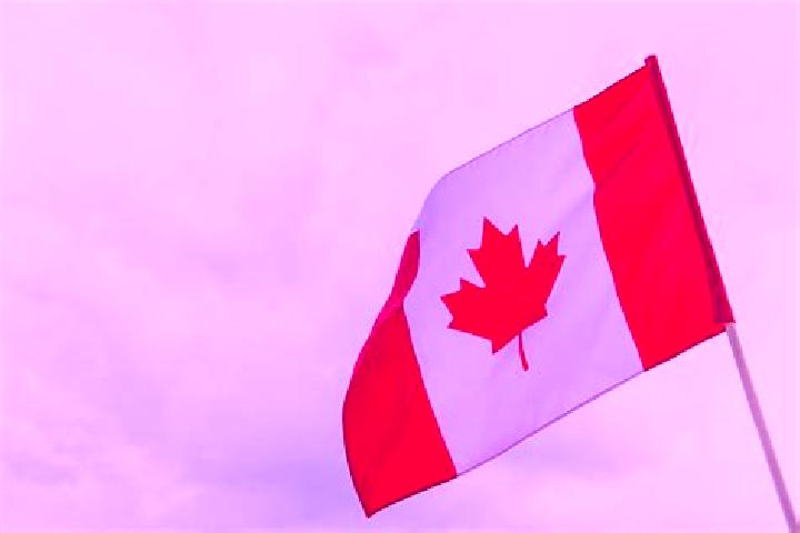 Escorts Falkland, Canada — Local Companions