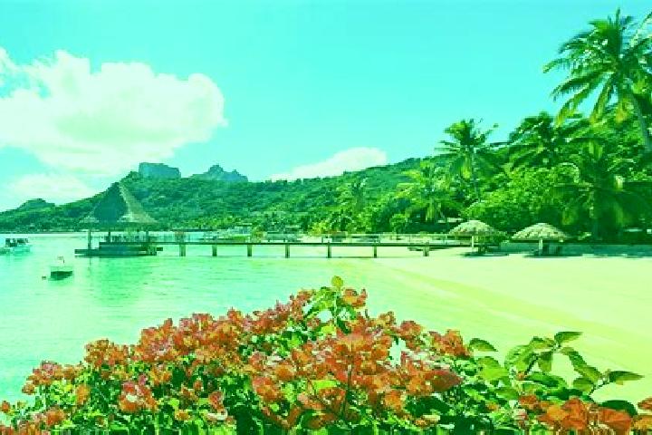 Escorts Fare, French Polynesia — Local Companions