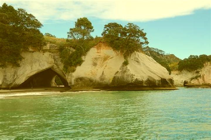 Escorts Farm Cove, New Zealand — Local Companions