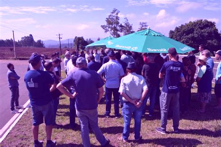 Escorts Fazenda Vilanova, Brazil — Local Companions