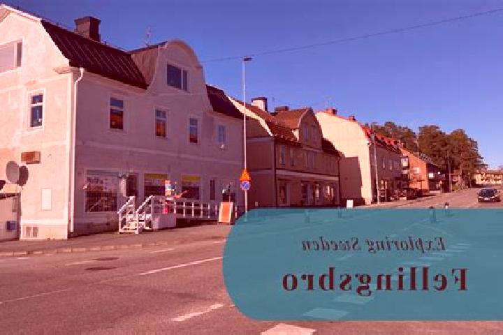 Escorts Fellingsbro, Sweden — Local Companions