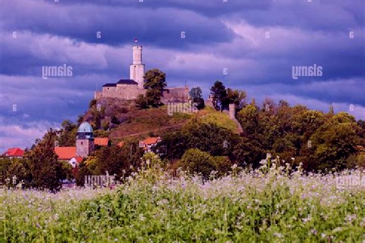 Escorts Felsberg, Germany — Local Companions