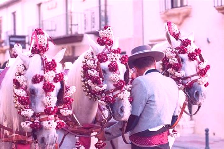 Escorts Feria, Spain — Local Companions