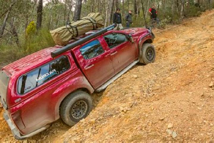 Escorts Ferntree Gully, Australia — Local Companions