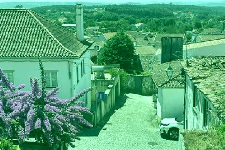 Escorts Figueiro dos Vinhos, Portugal — Local Companions