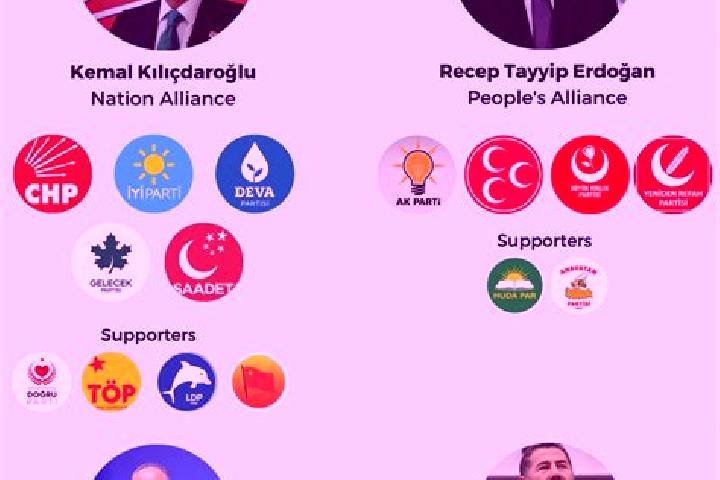 Escorts Findikli, Turkey — Local Companions
