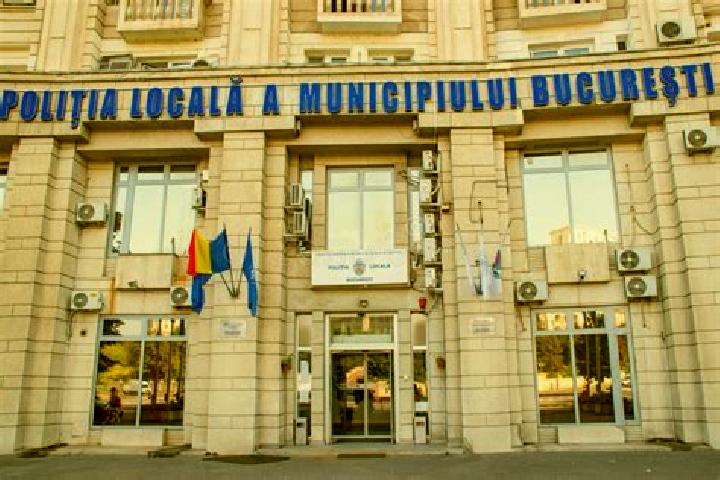 Escorts Fintesti, Romania — Local Companions