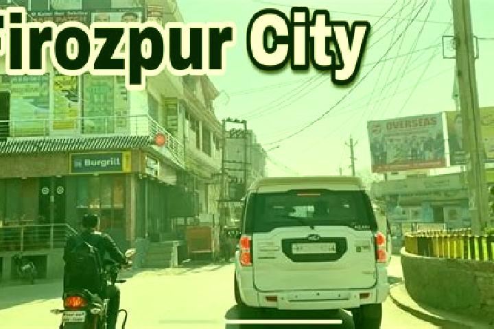 Escorts Firozpur, India — Local Companions