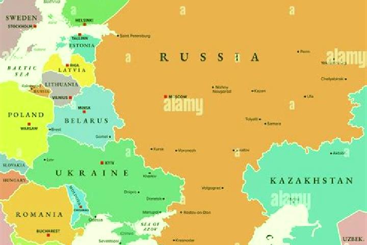 Escorts Firsanovka, Russia — Local Companions