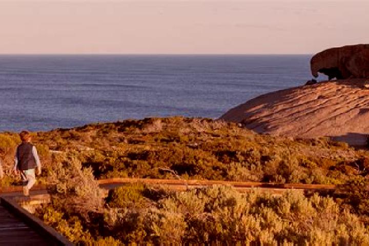 Escorts Flinders Park, Australia — Local Companions