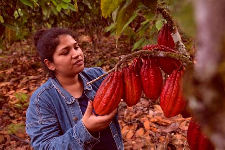 Escorts Flor de Cacao, Mexico — Local Companions