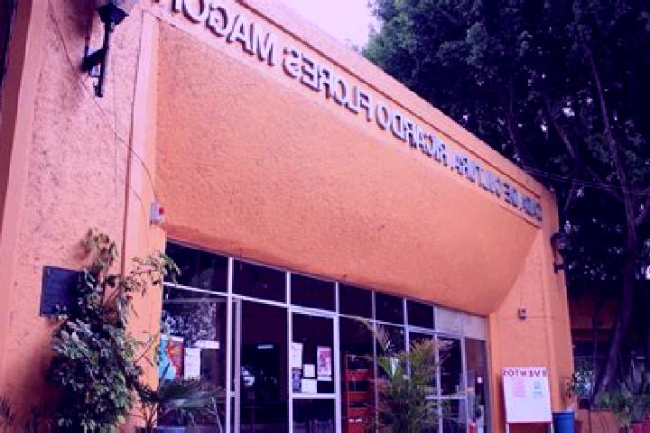 Escorts Flores Magon, Mexico — Local Companions
