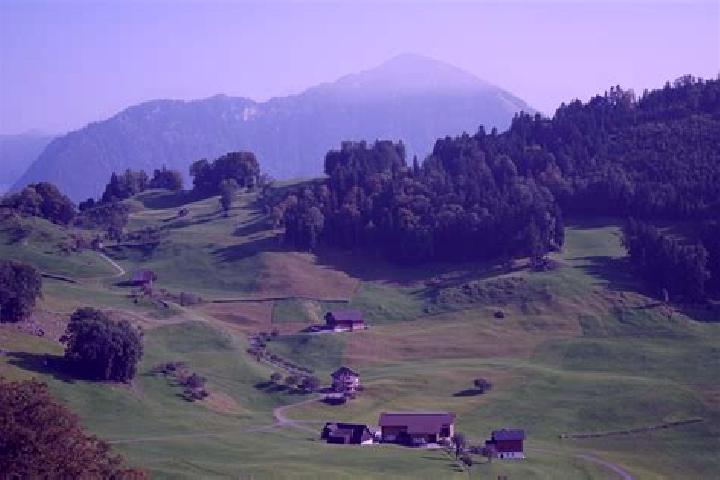 Escorts Flurlingen, Switzerland — Local Companions