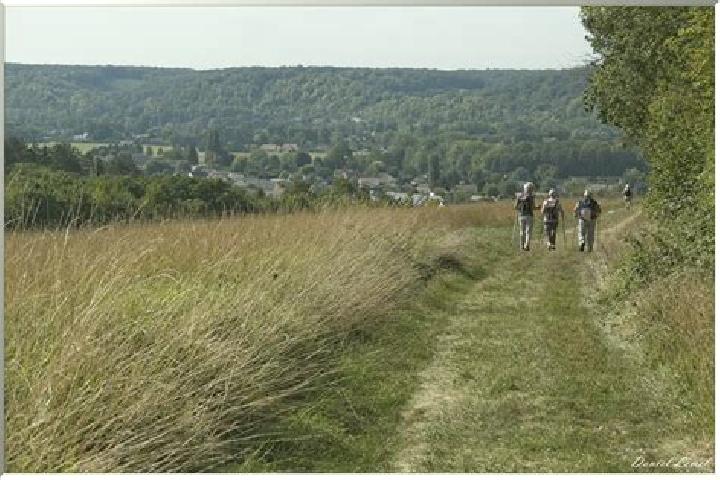 Escorts Fontaine-Heudebourg, France — Local Companions