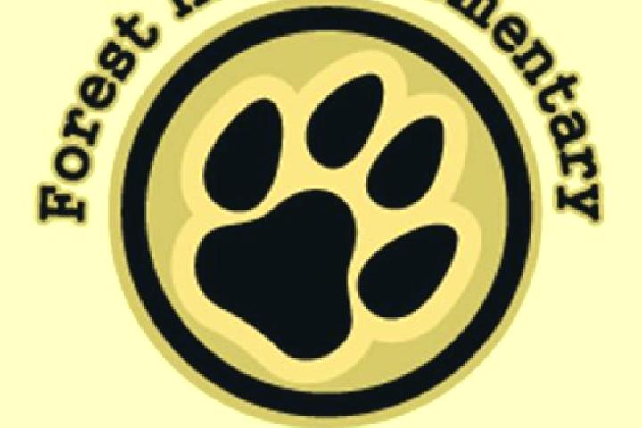 Escorts Forest Hills, Canada — Local Companions