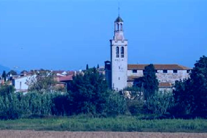 Escorts Fornells de la Selva, Spain — Local Companions