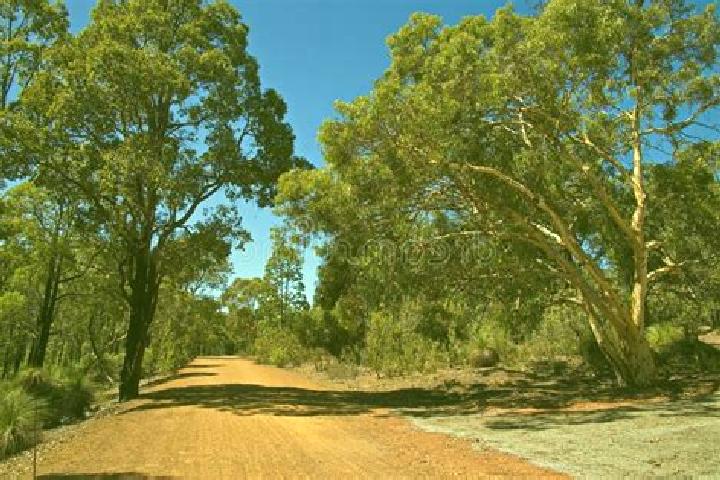 Escorts Forrest, Australia — Local Companions