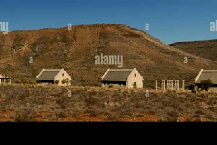 Escorts Fort Beaufort, South Africa — Local Companions