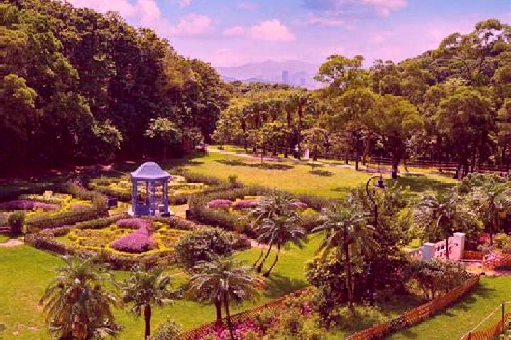 Escorts Fortress Garden, Hong Kong — Local Companions